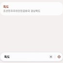 독도전자