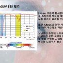 내마음에 든 안경 이미지