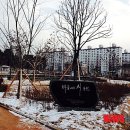 마로니에시근린공원 이미지