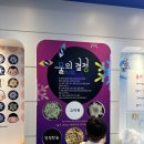 요셉유치원 이미지