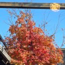 동산구이식당 | 파주한정식 맛집 통일동산 토향 식당