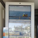 짚누리 | [대천 여행] 바다 위를 달리는 짜릿함! '대천해수욕장 스카이바이크' 찐후기