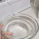 태평양 | 고양이 물그릇 태평양수반 내돈내산 솔직 후기