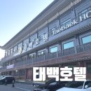 4761 | 수영장이 있는 태백호텔 아이들과 함께한 힐링 숙소 가족여행 후기