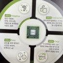 다음보청기 | 부천보청기 추천 TOP 5 오티콘보청기로 소리의 새로운 세상 열어보기