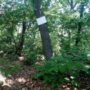 주월농장 이미지