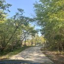 에이원글램핑 | [통영여행] 통영글램핑 / 에이원글램핑 솔직후기 / 숲속 글램핑 / 통영 수영장 글램핑