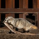 350-1-000118 이미지