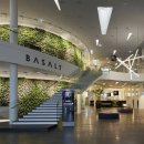 바이벨라 이미지