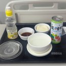 우린동물병원 | 분당제일여성병원 제왕절개 2일차 1인실 리모델링 라형