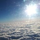 악어상사 이미지