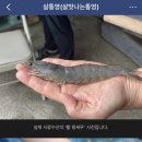 통영서광수산 이미지