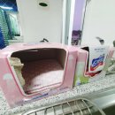 락스파펜션 이미지