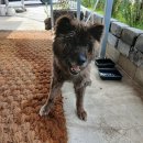 회원동225 이미지