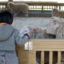 상촌새말길 이미지