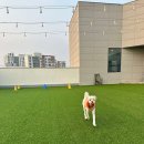 다율 상상 약국 이미지