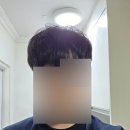 다니엘동물병원 | 부천 약대동 남자 머리 잘 하는 미용실 웨이비헤어