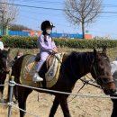 석송초등학교 이미지