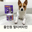 미마코 이지나인 강아지 올인원 영양제 급여후기