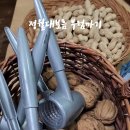 수잔나어린이집 이미지