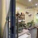 다즐링플라워 | [부산/연산동] 감성 꽃집 다즐링플라워에서 세련된 계절용 꽃다발 픽업한 후기