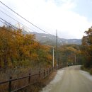 @ 오랜 시간 닫혀져 있던 아름다운 고갯길의 빗장을 열다 ~~~ 북한산 우이령 (우이령길) 이미지
