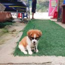 일영민박 이미지