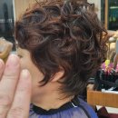단헤어(DAN HAIR)