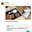 카츠모리 이미지
