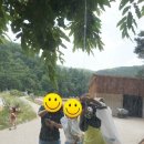 두리봉화장실 네이버블로그