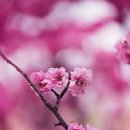 맘편한부동산공인중개사사무소 이미지