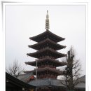 샛별여행 이미지