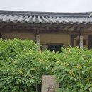 9 | [예산] 예산군 무료 버스투어 후기 - 추사고택,예당호(모노레일/전망대), 수덕사, 예산상설시장