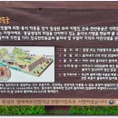 옥계종점 Daum카페