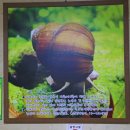 국화회관 이미지