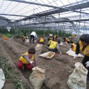 안막2구 이미지