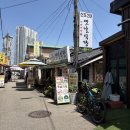 [속초 맛집]아바이마을 옛날식당 내돈내산 후기(ft.씨앗오징어젓갈)
