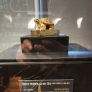 성북 시티투어 이미지