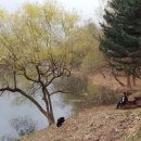 미리내교앞 이미지