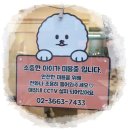 뷰티 in 독 이미지