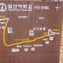 앞산자락길 이미지