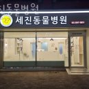 세진동물병원 이미지