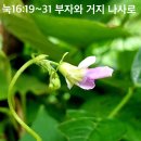 나사로 이미지