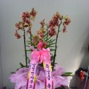 남정면사무소 이미지