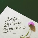 감성글씨 그림이랑 캘리그라피 이미지