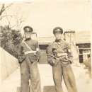 욕지중학교 이미지