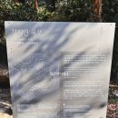 25년 2월_제주 천지연폭포_제주 여행/제주 여행 코스/제주 가볼만한곳/제주 2박3일코스/제주도 여행...