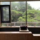 부산 사직야구장 근처 숙소 추천! 만덕 덴바스타 포레스트 호텔 자쿠지 & 카라반 후기