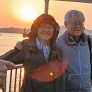 진도소노 가족여행 첫째날(2025.4.29) 이미지