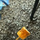 러빙유 카라반 캠핑장 이미지